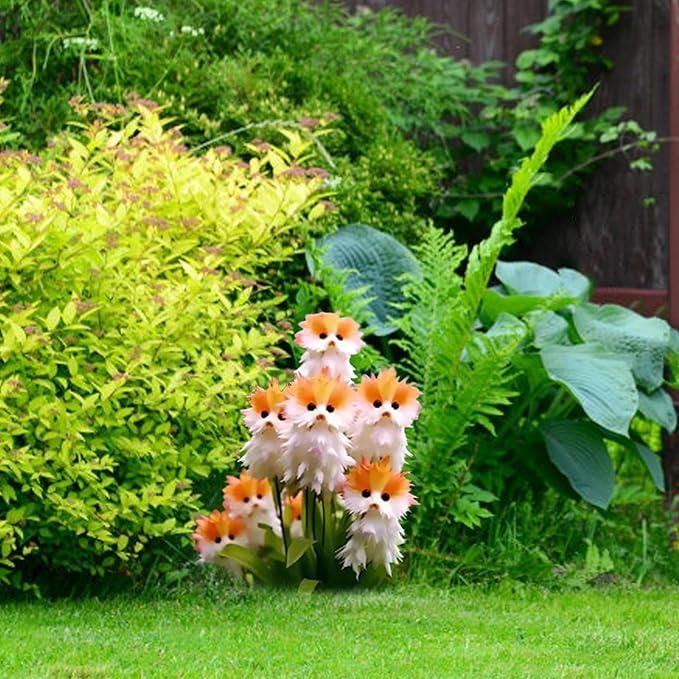 Cat Eye Dazzle Seeds and Free Organic Pot Mix 100 Grams